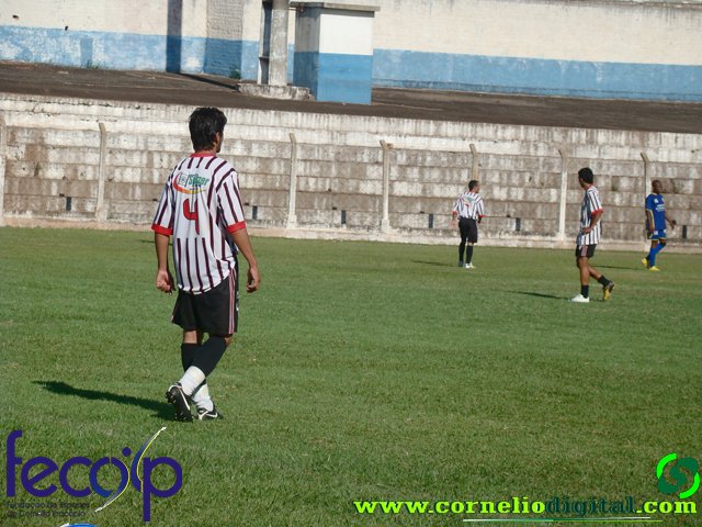 DSC03184.jpg