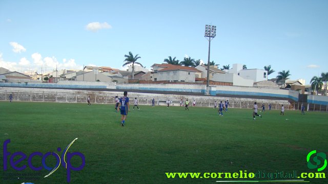 DSC03194.jpg