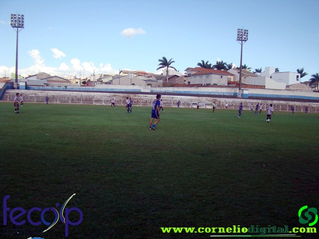 DSC03196.jpg