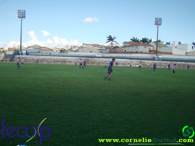 DSC03197.jpg