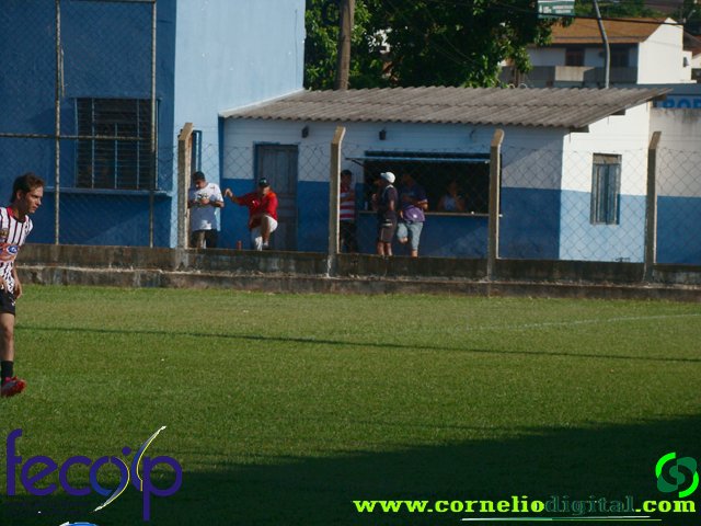 DSC03207.jpg