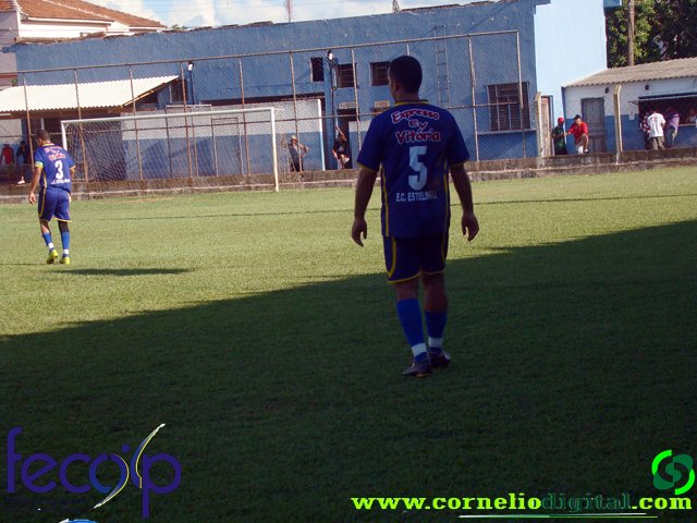 DSC03233.jpg