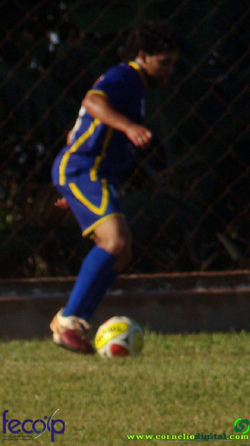 DSC03237.jpg