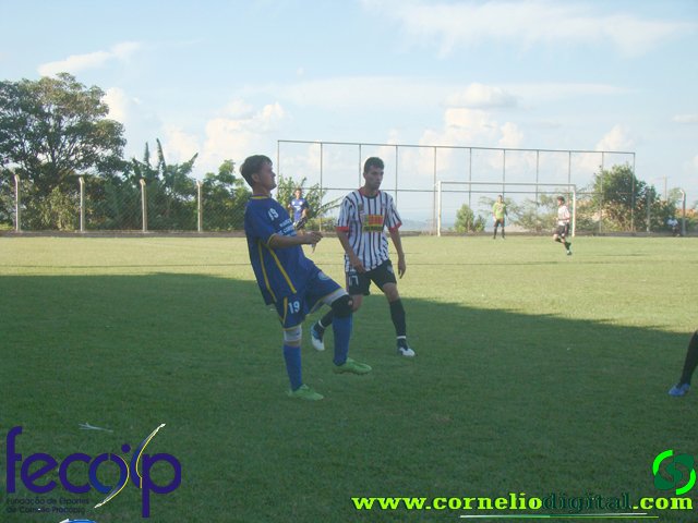 DSC03272.jpg
