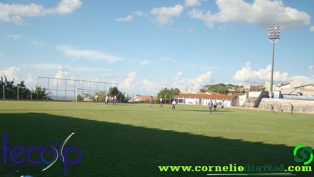 DSC03294.jpg