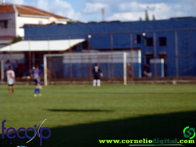 DSC03306.jpg