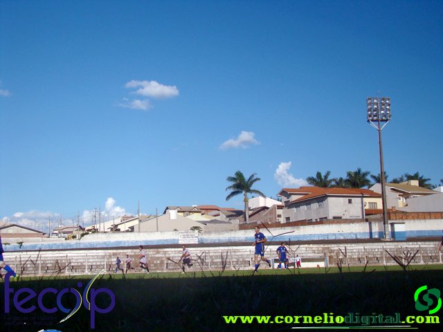 DSC03309.jpg