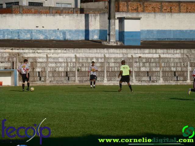 DSC03317.jpg