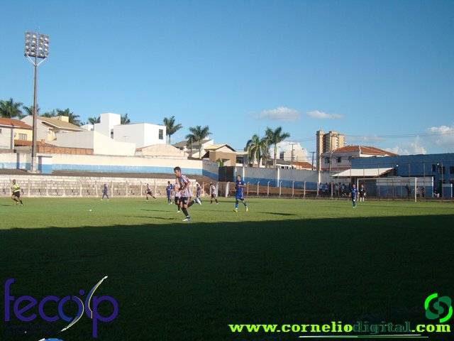 DSC03318.jpg