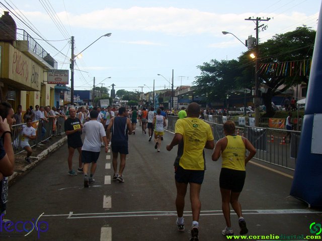 DSC07850.jpg