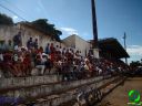 DSC09509.jpg
