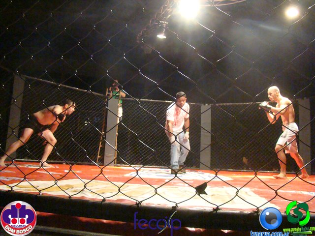 DSC07117.jpg
