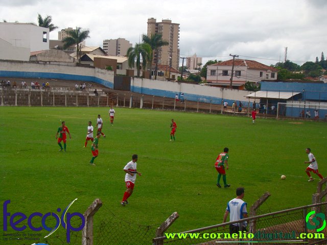 DSC05347.jpg