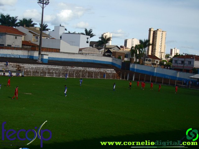 DSC05394.jpg