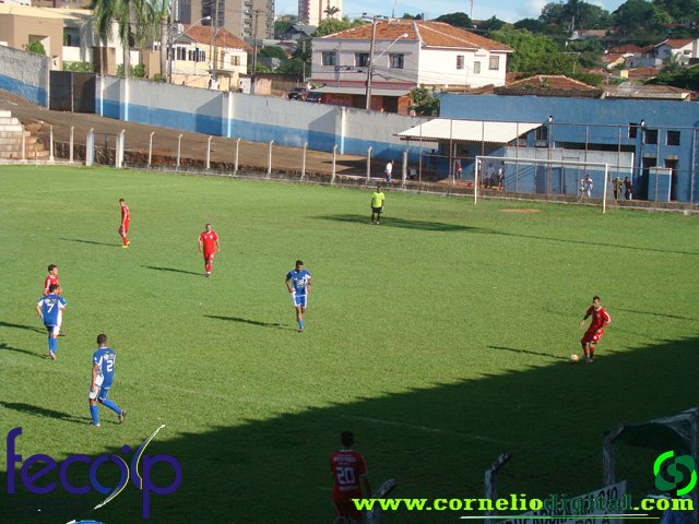 DSC05408.jpg