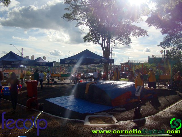 DSC05421.jpg