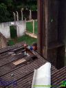 DSC05396.jpg