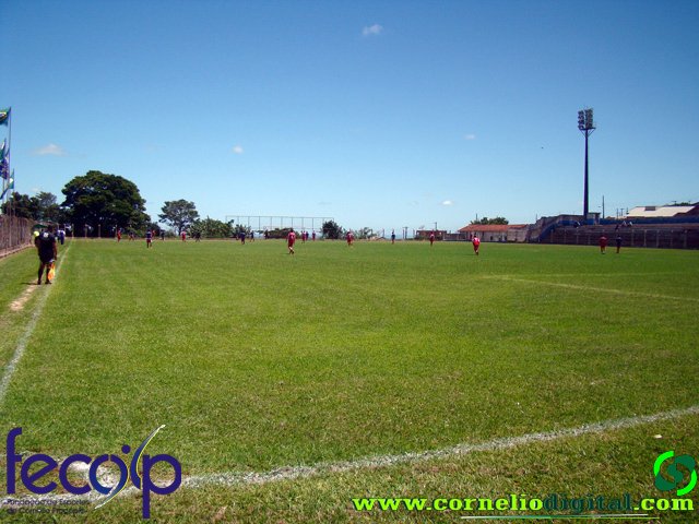 DSC06081.jpg