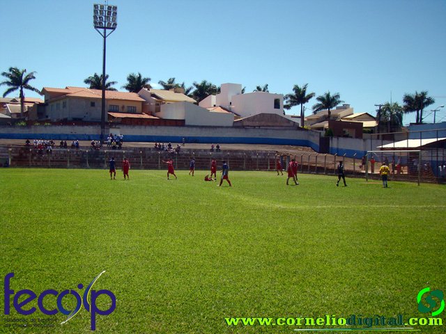 DSC06084.jpg