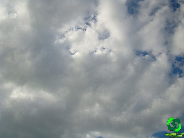 DSC05790.jpg