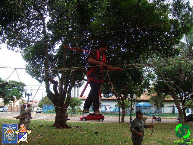 DSC09145.jpg