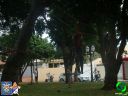 DSC09077.jpg