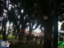 DSC09081.jpg