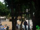 DSC09082.jpg