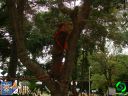DSC09086.jpg