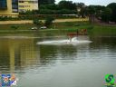 DSC09107.jpg