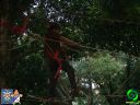 DSC09144.jpg