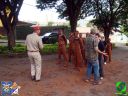 DSC09254.jpg