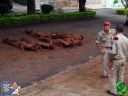 DSC09263.jpg