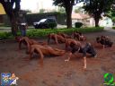 DSC09272.jpg
