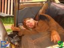 DSC09403.jpg