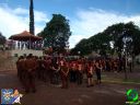 DSC09479.jpg