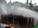 DSC09489.jpg