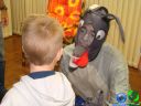 DSC06334.jpg