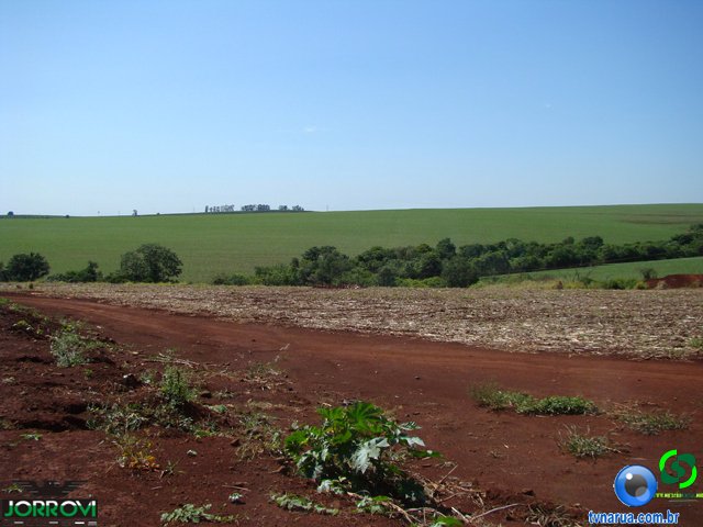 DSC01764.jpg
