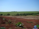 DSC01764.jpg