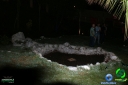 DSC02293.jpg