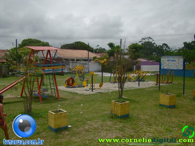 DSC03790.jpg