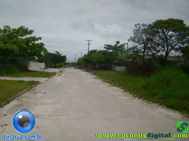 DSC03829.jpg