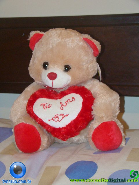 DSC03989.jpg