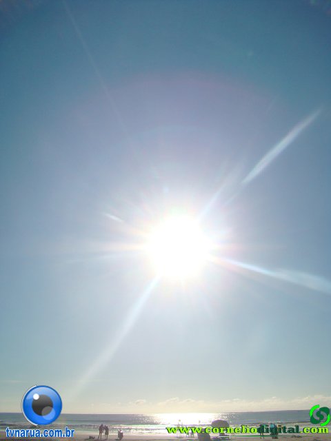 DSC04002.jpg
