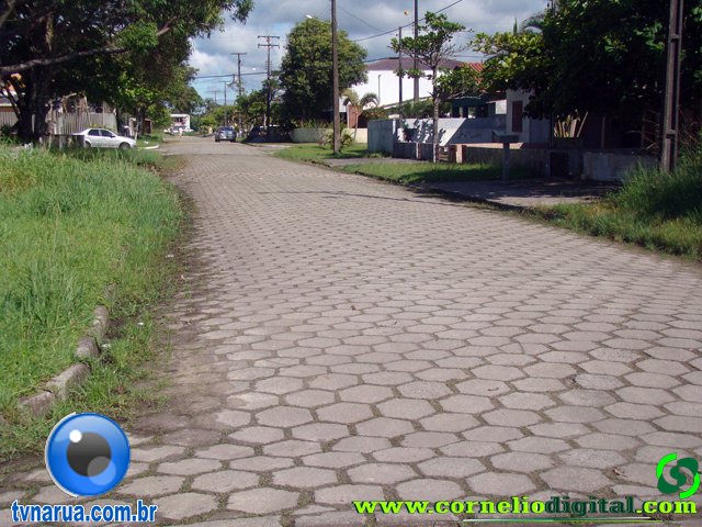 DSC04090.jpg