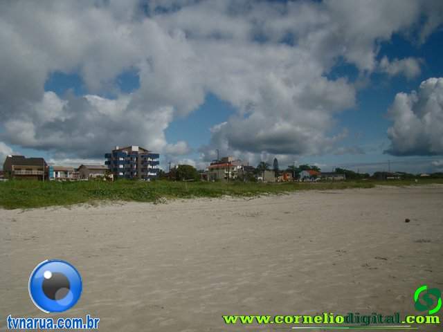 DSC04117.jpg