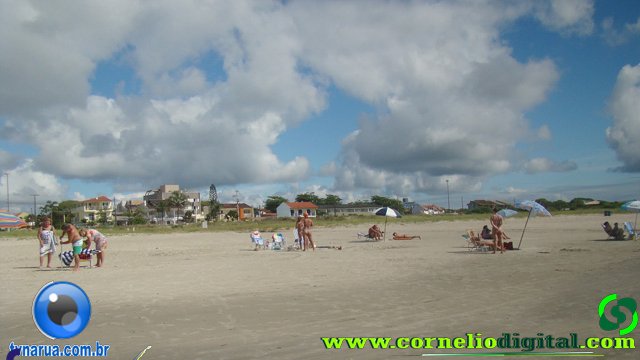 DSC04120.jpg