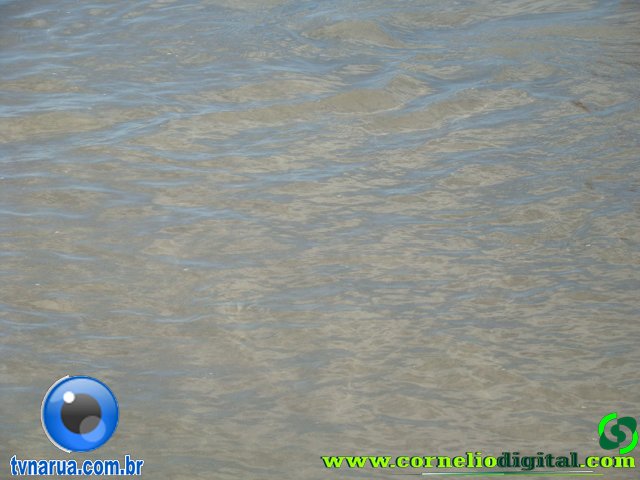 DSC04160.jpg