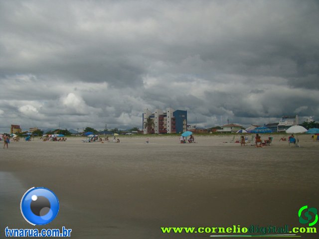 DSC04165.jpg